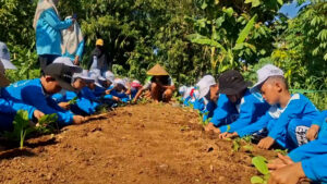 PULUHAN SISWA TK DI JEMBER BELAJAR BERTANI SEJAK DINI DI URBAN FARMING