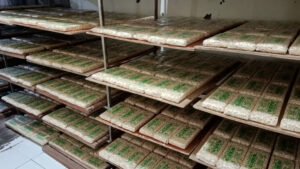Pesanan Program MBG Melonjak, Produksi Tempe di Jember Naik Dua Kali Lipat