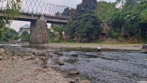 Dampak Kemarau Panjang, Debit Sungai Bedadung Jember Menyusut Drastis Hingga Aliran Mengering